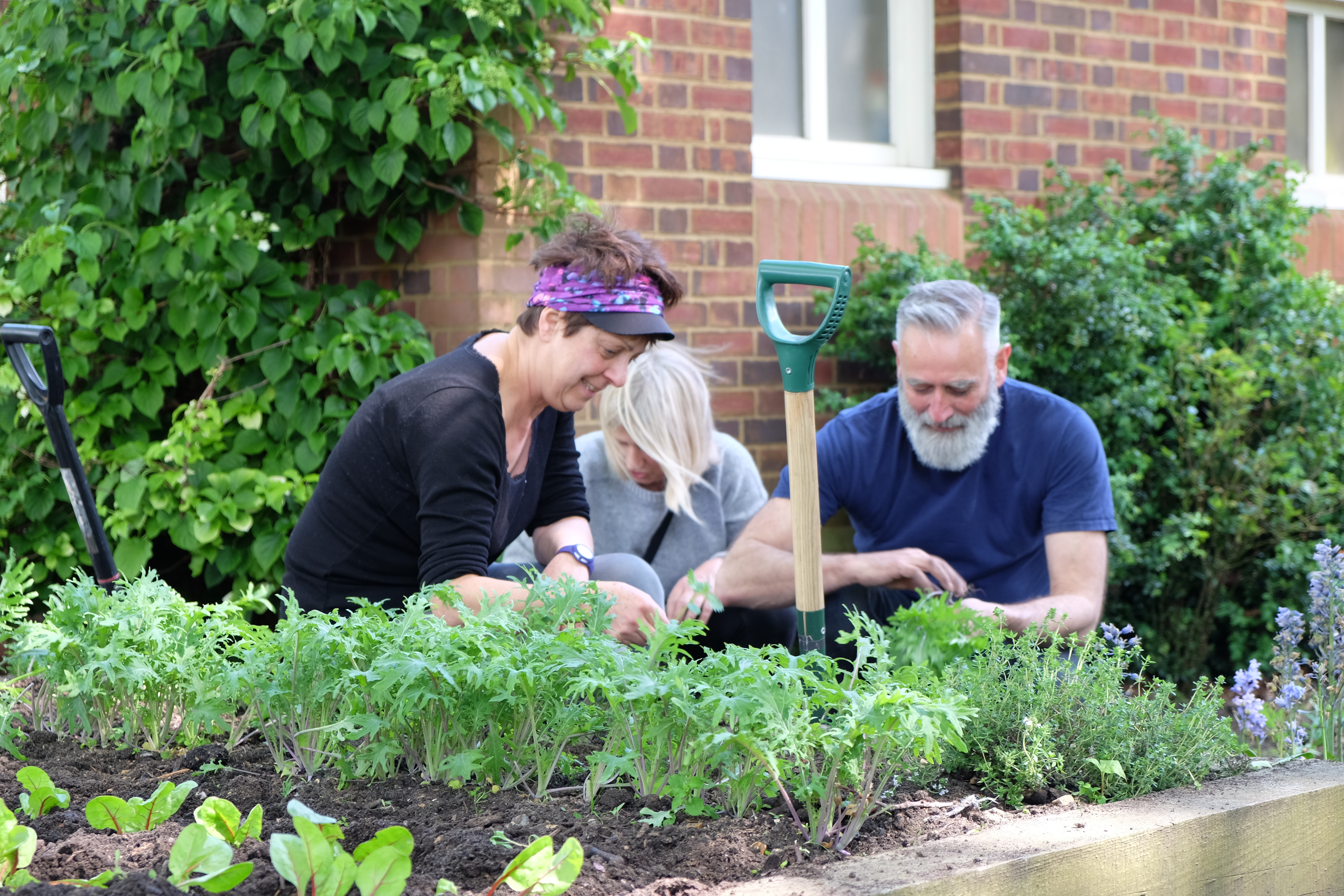 Amanda, Dee and David sorting the kale (3)